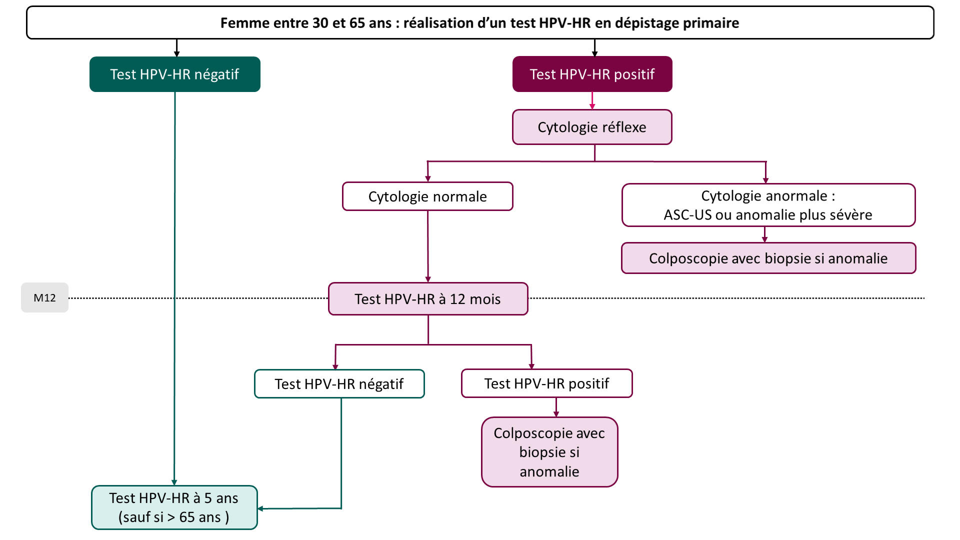 Figure 2. conduite à tenir selon le résultat du test hpv (femmes de 30 à 65 ans)