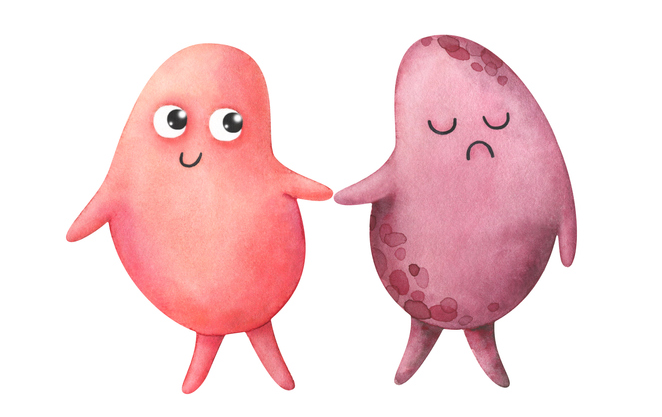 Paramètres biologiques perturbés (2) : fonction rénale et troubles ioniques