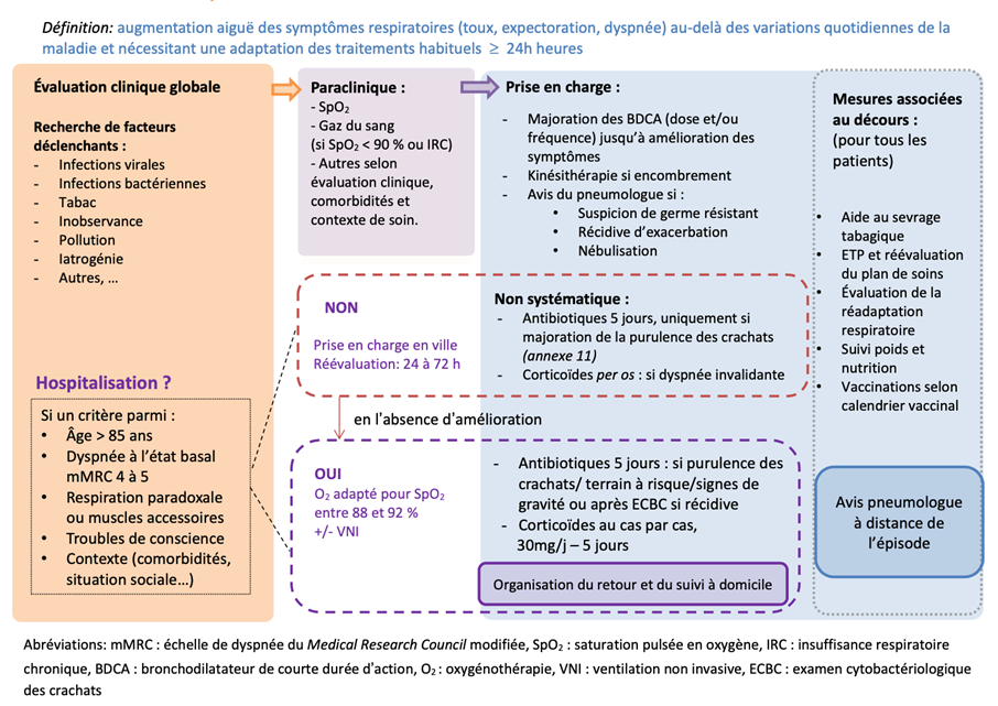 Figure 1. Prise en charge d'une exacerbation de BPCO