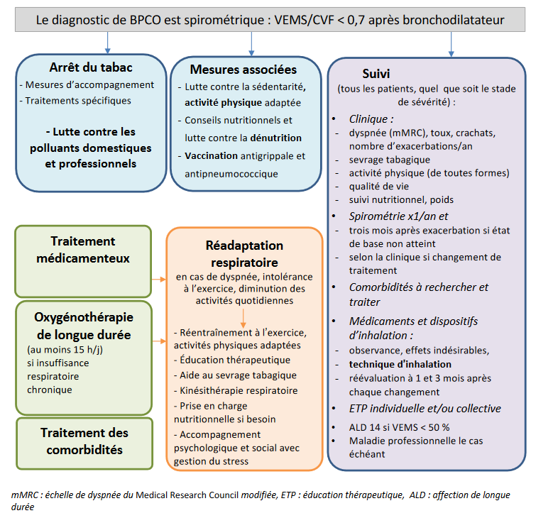 Figure 1. Prise en charge globale d'un patient atteint de BPCO à l'état stable
