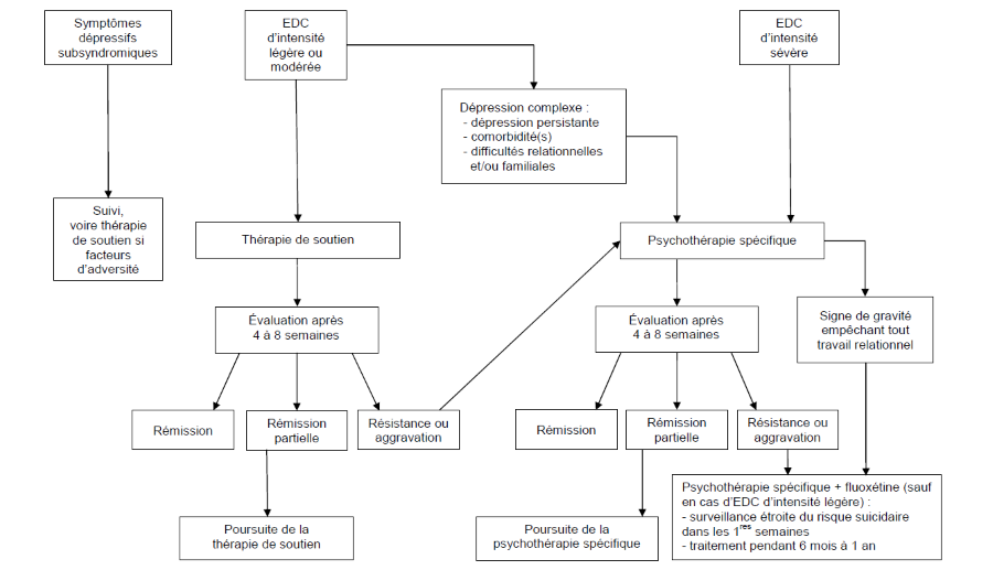 Figure 1. Stratégie de prise en charge thérapeutique des manifestations dépressives à l'adolescence