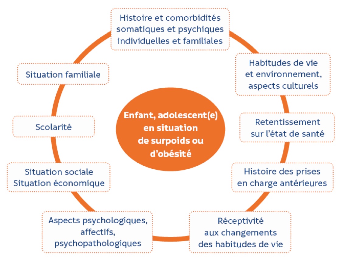 Figure 1. Evaluation multidimensionnelle d'une situation de surpoids ou d'obésité